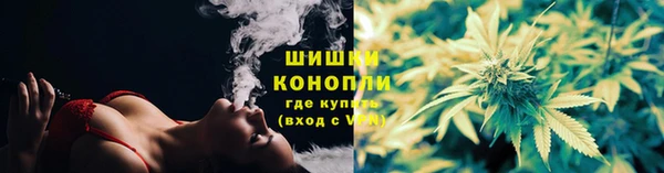 стаф Верея