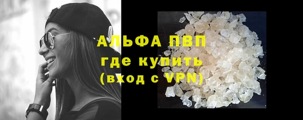 стаф Верея