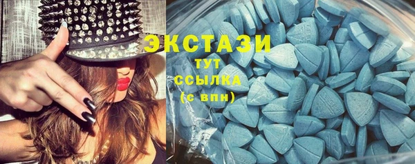 стаф Верея