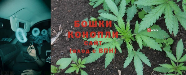стаф Верея