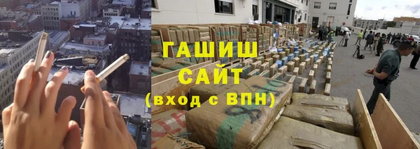 стаф Верея