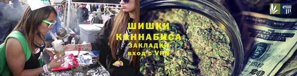 стаф Верея