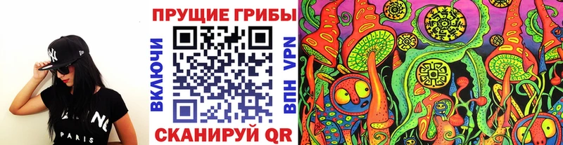 Псилоцибиновые грибы Psilocybine cubensis Горячий Ключ